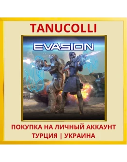 Evasion PS4/PS5/PS Турция/Украина