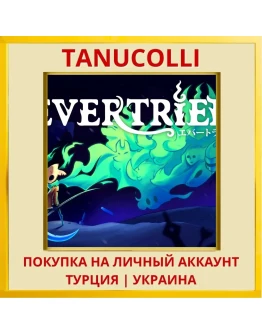 Evertried PS4/PS5/PS Турция/Украина