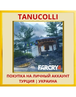 Far Cry 4 PS4/PS5/PS Турция/Украина