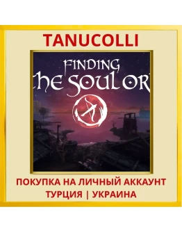 Finding the Soul Orb PS4/PS5/PS Турция/Украина