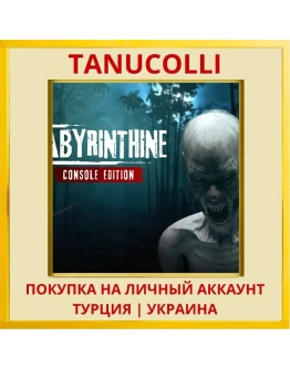 Labyrinthine - Console Edition PS5/PS Турция/Украина