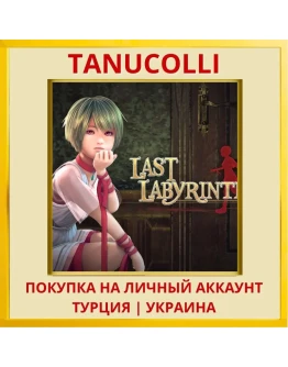 Last Labyrinth PS4/PS5/PS Турция/Украина