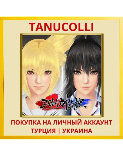Mitsurugi Kamui hikae PS4/PS5/PS Турция/Украина