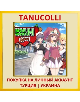 Moe Waifu H Fantasy PS4/PS5/PS Турция/Украина