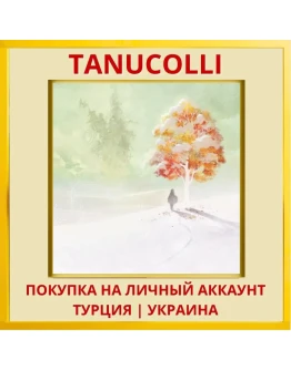 I am Setsuna. PS4/PS5/PS Турция/Украина