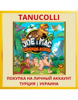NEW Joe & Mac - Caveman Ninja PS4/PS5/PS Турция/Украина