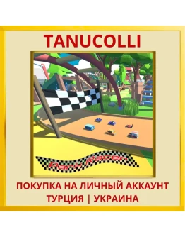 Park Racer PS4/PS5/PS Турция/Украина