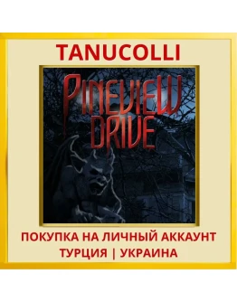 Pineview Drive PS4/PS5/PS Турция/Украина