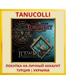 Planescape: Torment and Ic... PS4/PS5/PS Турция/Украина