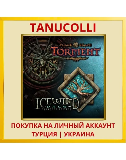 Planescape: Torment and Ic... PS4/PS5/PS Турция/Украина