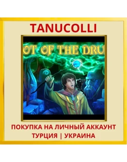 Plot of the Druid PS5/PS Турция/Украина