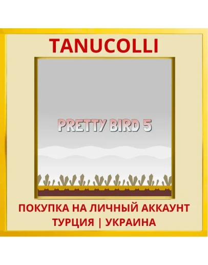 Pretty Bird 5 PS4/PS5/PS Турция/Украина