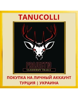 Project 13: Taxidermy Trails PS4/PS5/PS Турция/Украина