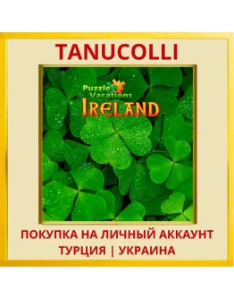 Puzzle Vacations: Ireland PS5/PS Турция/Украина