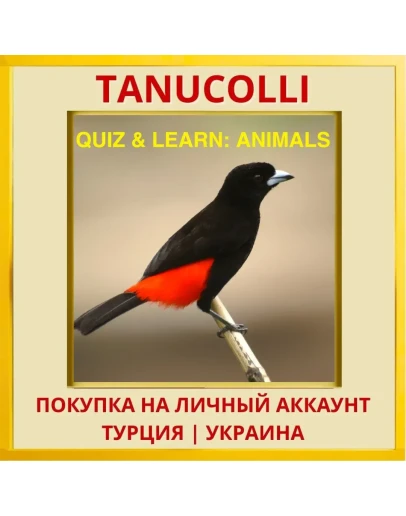 Quiz &amp Learn: Animals PS4/PS5/PS Турция/Украина