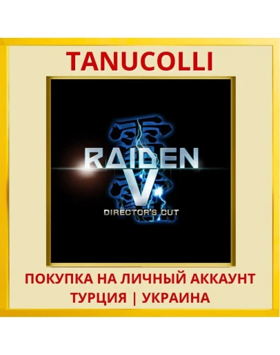 Raiden V: Director's Cut PS4/PS5/PS Турция/Украина