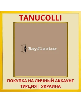 Rayflector PS4/PS5/PS Турция/Украина