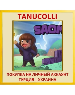 SAOMI PS4/PS5/PS Турция/Украина