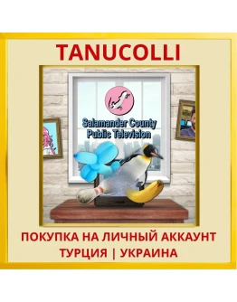 Salamander County Public T... PS4/PS5/PS Турция/Украина