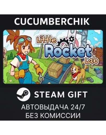 Little Rocket LabSTEAM GIFT AUTORU+МИР