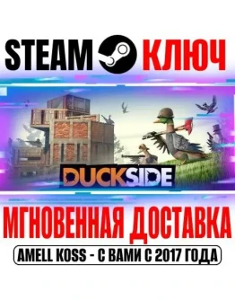 DUCKSIDE Steam Ключ РФ+Мир +Бонус