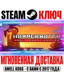 Hammerwatch Anniversary Edition Steam Ключ РФ+Мир