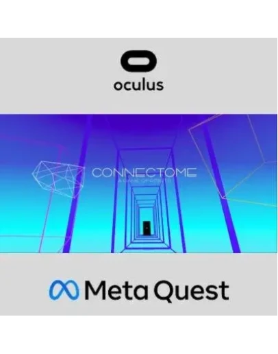 CONNECTOME Oculus Quest