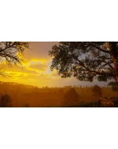 Island Paradise АВТОДОСТАВКА STEAM РОССИЯ