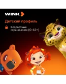 WINK ПОДПИСКА 1-12 МЕСЯЦЕВ, АВТОВЫДАЧА 24/7