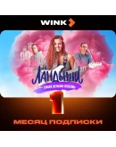 WINK ПОДПИСКА 1-12 МЕСЯЦЕВ, АВТОВЫДАЧА 24/7