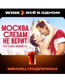 WINK ВСЕ В ОДНОМ 1-12 МЕСЯЦЕВ, АВТОВЫДАЧА 24/7