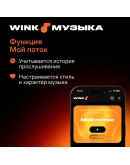 WINK МУЗЫКА 1-12 МЕСЯЦЕВ, АВТОВЫДАЧА 24/7