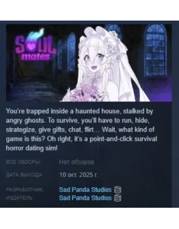 Soul Mates АВТОДОСТАВКА STEAM РОССИЯ