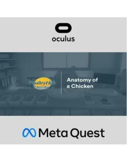Anatomy of a Chicken Oculus Quest