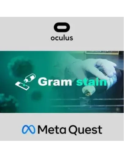 Gram stain Oculus Quest Gram stain Oculus Quest