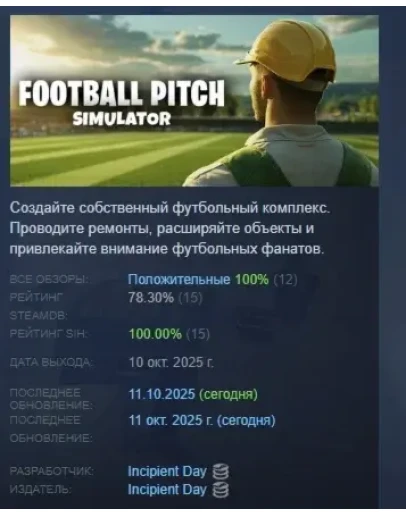 Football Pitch Simulator АВТОДОСТАВКА STEAM РОССИЯ