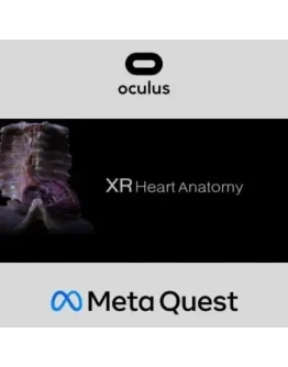 XR Heart Anatomy Oculus Quest