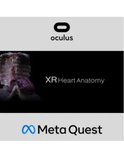 XR Heart Anatomy Oculus Quest
