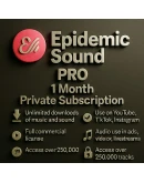 EPIDEMIC SOUND PRO 1месяц -личный кабинет