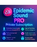 EPIDEMIC SOUND PRO 1месяц -личный кабинет