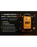 SOUNDCLOUD Go+ 1 МЕСЯЦ ЧАСТНЫЙ АККАУНТ