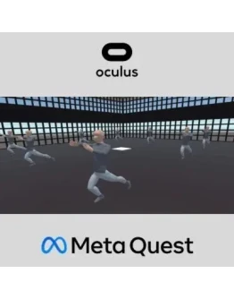 Virtual Reality Tai Chi Oculus Quest