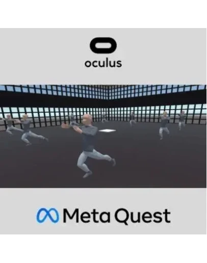 Virtual Reality Tai Chi Oculus Quest