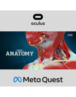 Ebers Anatomy Oculus Quest