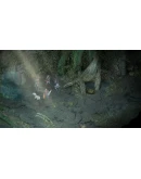 Pillars of Eternity: Complete Edition Nintendo Switch