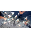 NARUTO STORM CONNECTIONS Nintendo Switch