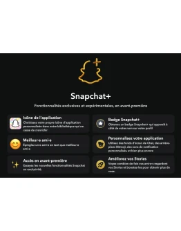 Подписка Snapchat+ Premium на 3, 6 и 12 месяцев в подар
