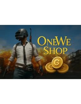 PUBG G-COIN PC100-22400