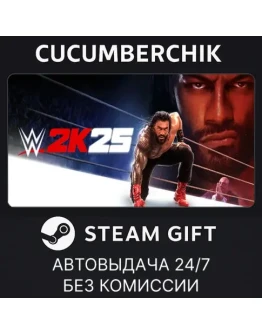 WWE 2K25 Farewell Tour EditionSTEAM GIFT AUTOKZ+МИР