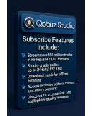 Qobuz Studio Premier Hi-Fi Hi-Res 12 Месяца